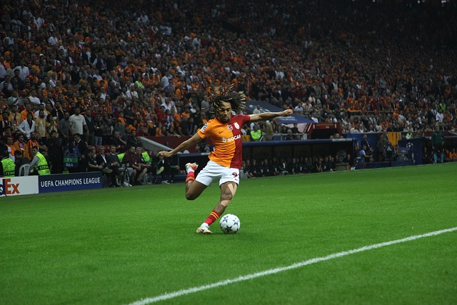 他成功追回 他成功追回