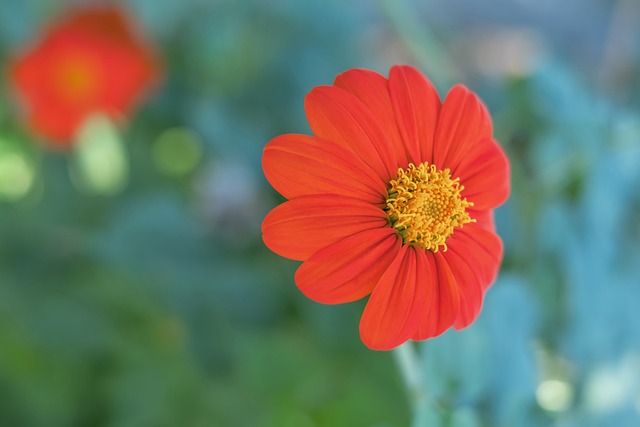 中超聯賽吸 中超聯賽吸