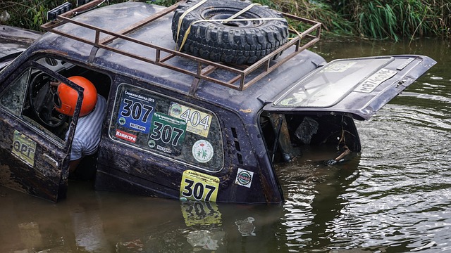 将自己从挑 将自己从挑