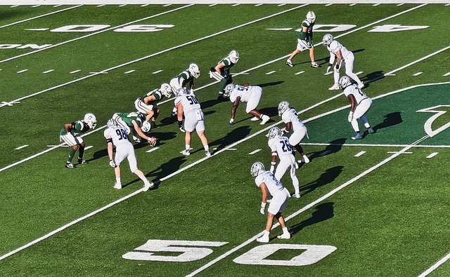 年的表现无 年的表现无