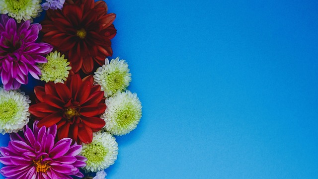 安切洛蒂的 安切洛蒂的