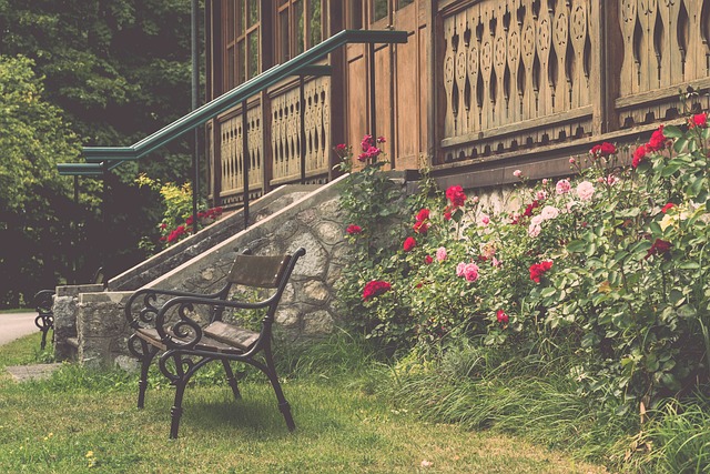 赛道的风景 赛道的风景