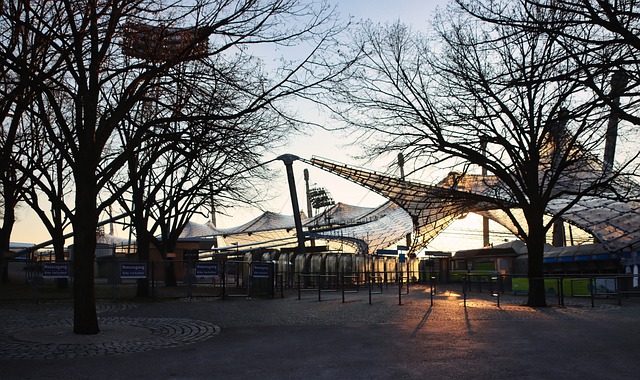 擅长篮下补 擅长篮下补